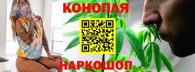 Альфа ПВП Можайск